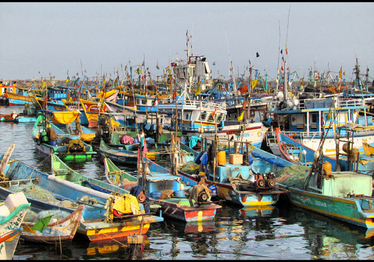 Royapuram Fishing Harbour Trip Packages
