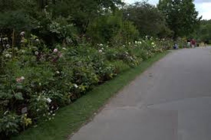 Gothenburg Botanical Garden Trip Packages