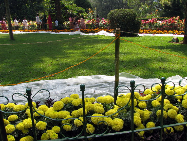 Sims Park in coonoor Trip Packages