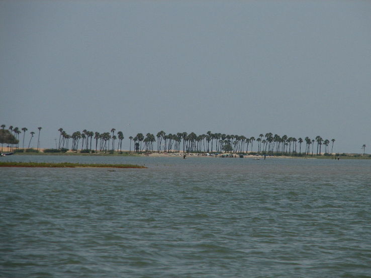 Bird Watching near Pulicat Lake Trip Packages