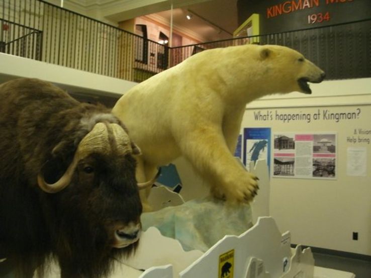 Kingman Museum Trip Packages