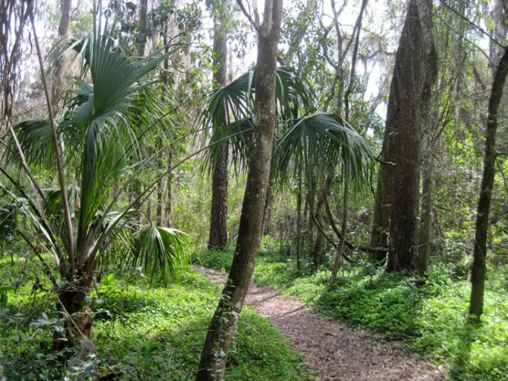 Bivens Arm Nature Park Trip Packages