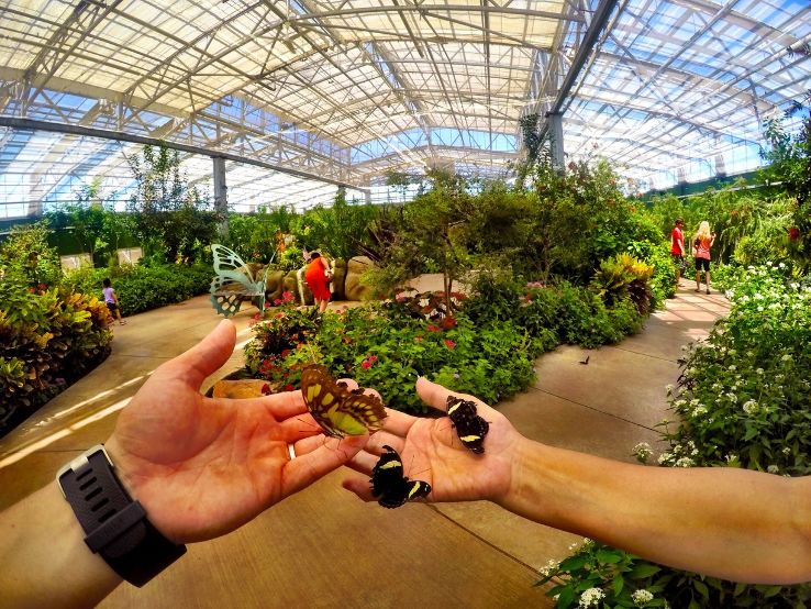Butterfly Wonderland