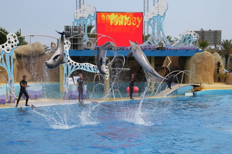 Marineland of Antibes Trip Packages