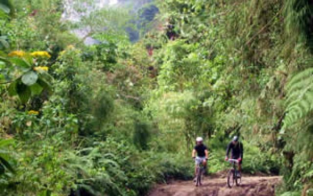 Biking: Live It Up Trip Packages