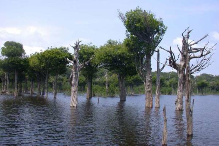 Amadeu Botelho Ecological Reserve  Trip Packages