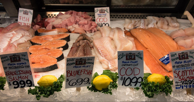 Portland Fish Market Trip Packages