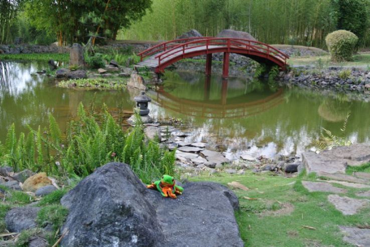 Lankester Botanical Garden Trip Packages