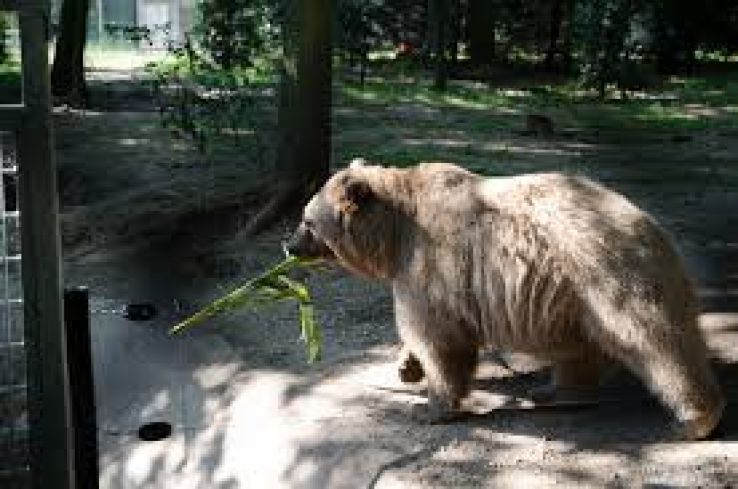 Ouwehands Dierenpark Trip Packages