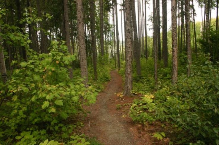 LC Gunn Park Trip Packages