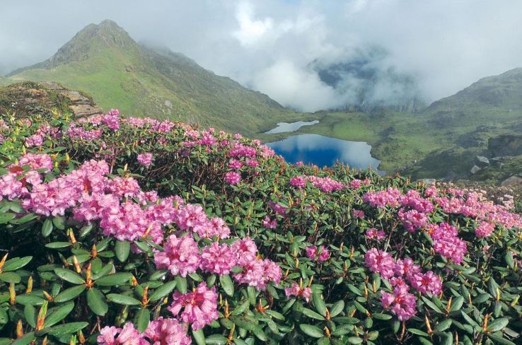 Magical 5 Days 4 Nights Kohima Nature Tour Package