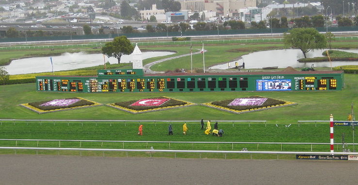 Golden Gate Fields Trip Packages