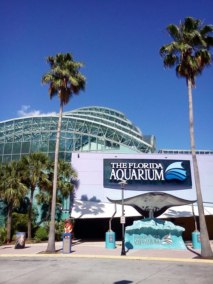 Florida Aquarium Trip Packages
