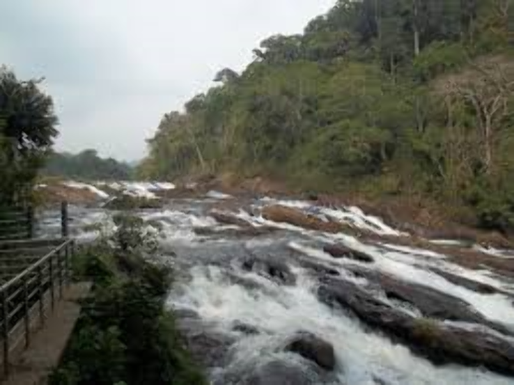 Vazhachal Falls Trip Packages