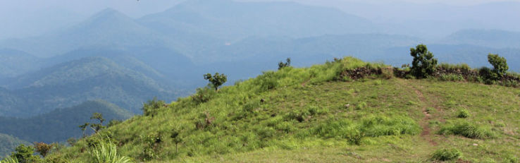 Ecstatic 3 Days 2 Nights Thekkady Nature Vacation Package