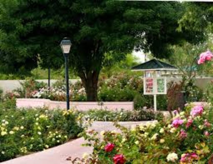 Rose Garden at Mesa Community College Trip Packages