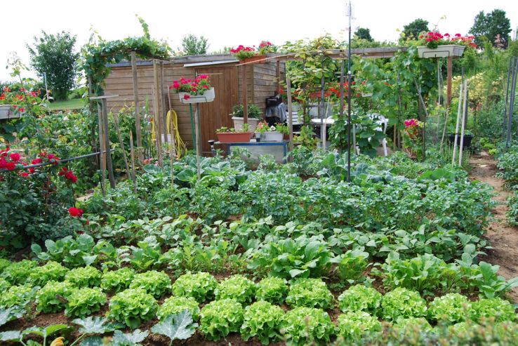 Jardin Botanique de Tourcoing Trip Packages Jardin Botanique de Tourcoing Trip Packages