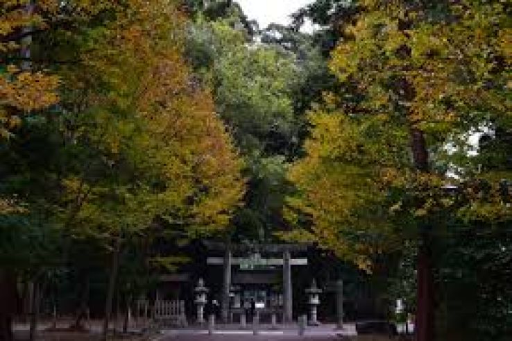 Toga Shrine Trip Packages
