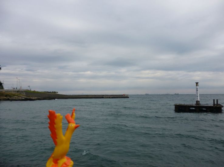 Kannonzaki Lighthouse Trip Packages