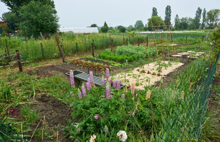 Jardin Botanique de Tourcoing Trip Packages Jardin Botanique de Tourcoing Trip Packages
