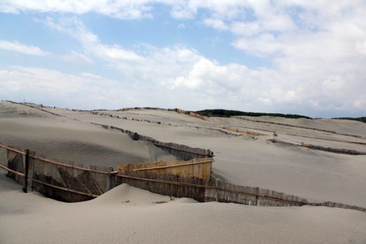 Nakatajima Sand Dunes Trip Packages