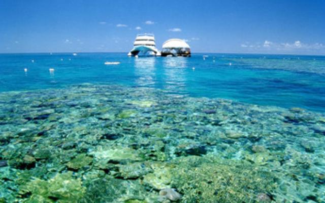 Great Barrier Reef Adventure Trip Packages