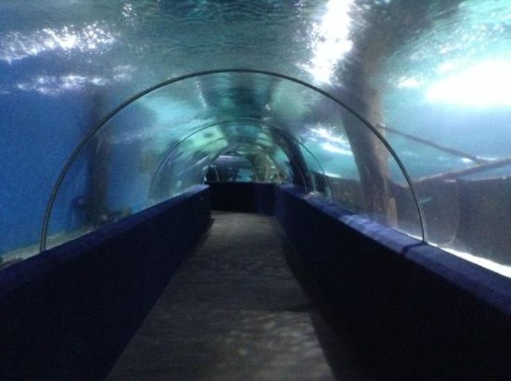Greater Cleveland Aquarium Trip Packages
