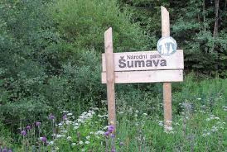 Sumava National Park Trip Packages