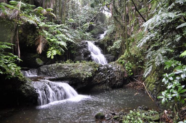 Hawaii Tropical Botanical Garden Trip Packages