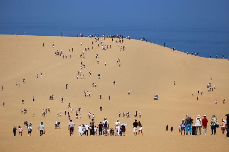 The Sand Museum Trip Packages