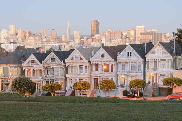 Painted Ladies  Trip Packages
