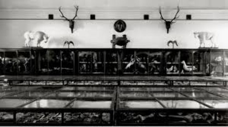 Museum of Vertebrate Zoology Trip Packages