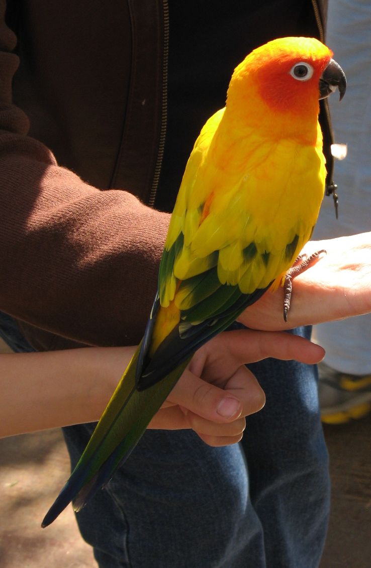 ZooTampa at Lowry Park Trip Packages