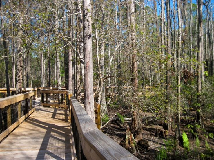 Gainesville Trip Packages