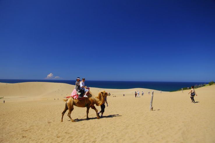 Tottori Trip Packages