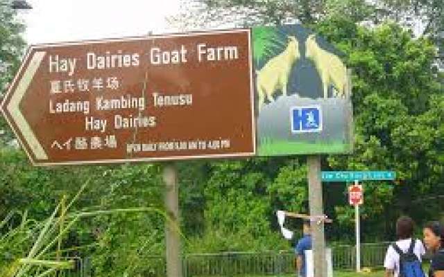 Hay Dairy Trip Packages