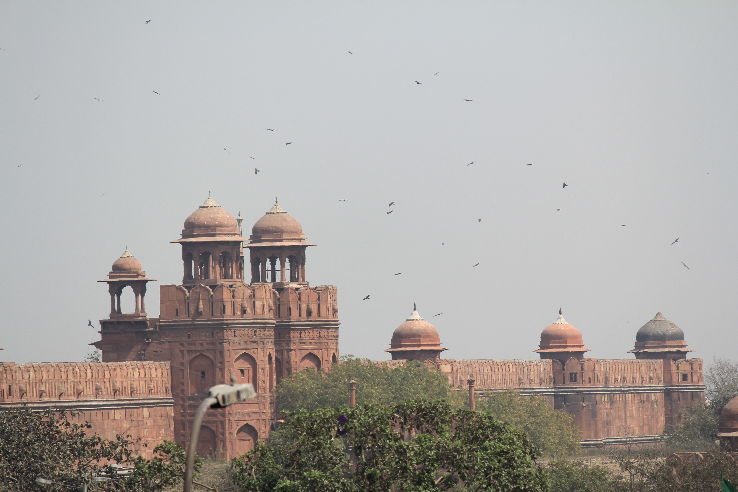 Jama Masjid Trip Packages