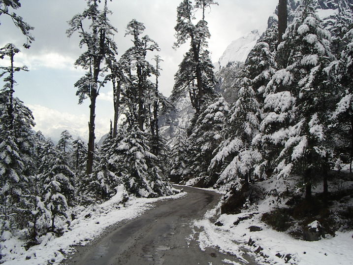 Amazing 2 Days Yumthang Valley Tour Package