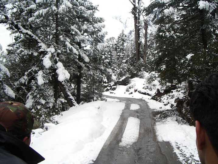 Amazing 2 Days Yumthang Valley Tour Package