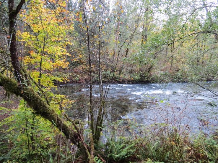 Landsburg Reach Natural Area  Trip Packages