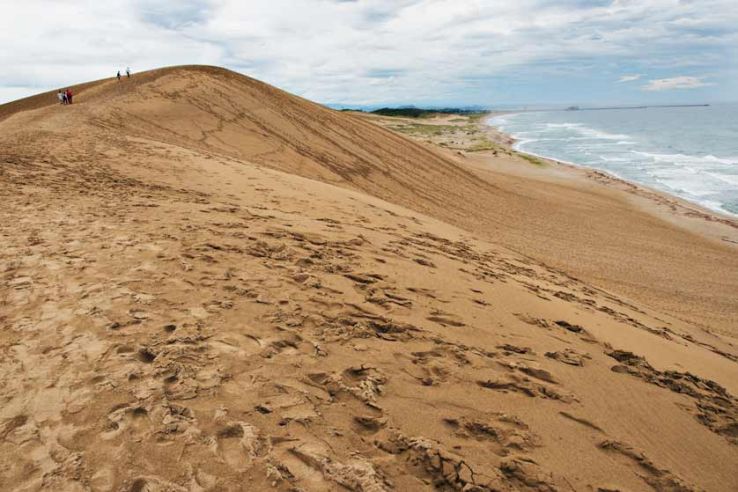 The Sand Museum Trip Packages