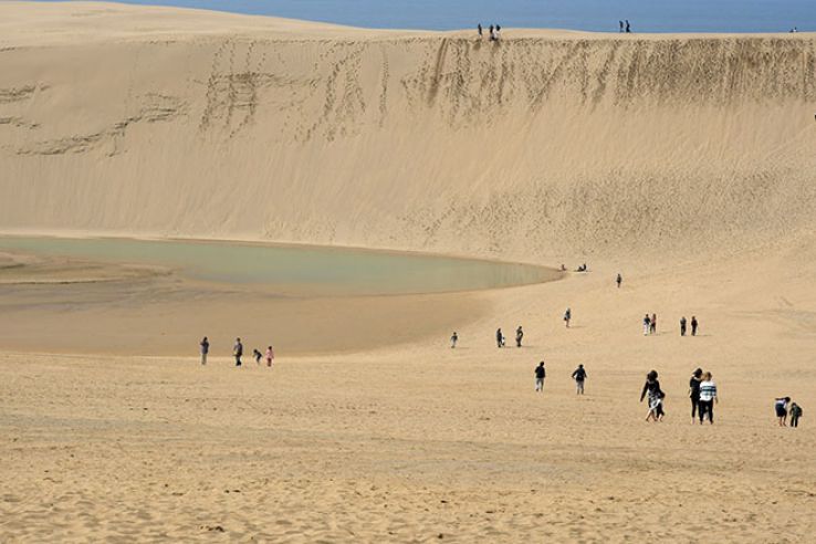 The Sand Museum Trip Packages