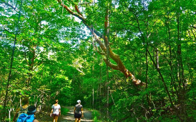 Hiking: A Tour To Revitalize Senses Trip Packages