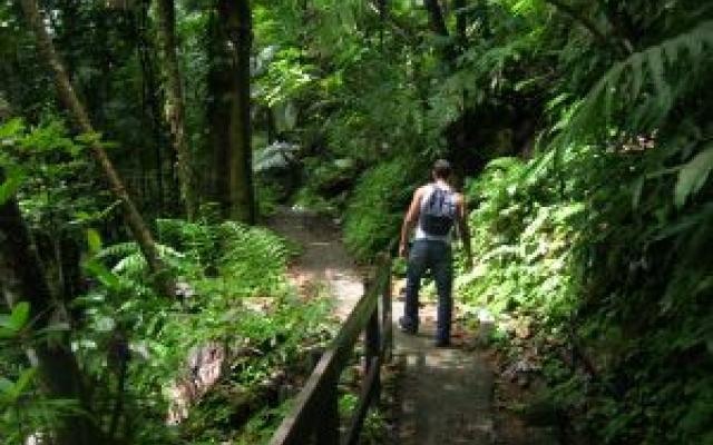 Hiking: Walk Into the Wild Trip Packages