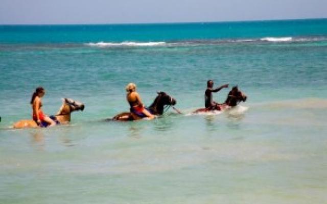Horseback Riding: It is Different Here Trip Packages