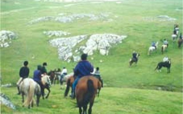 Horse Riding Trip Packages