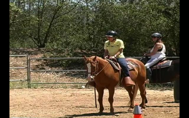 Experience Horse Riding Trip Packages