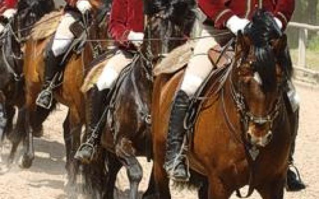 Horse Riding Trip Packages