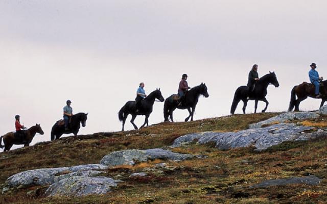 Exploring On a Horse Back Trip Packages
