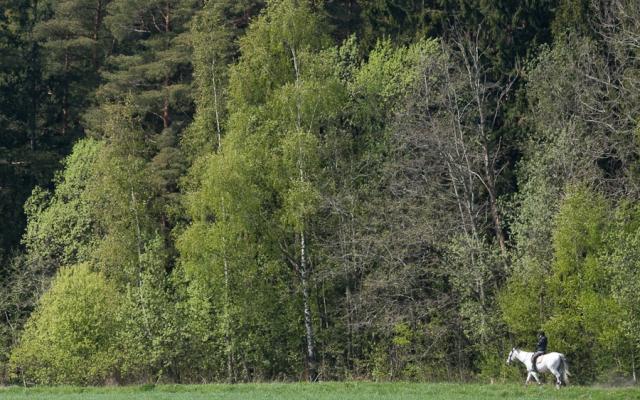 Explore Denmark With Horse Riding Trip Packages